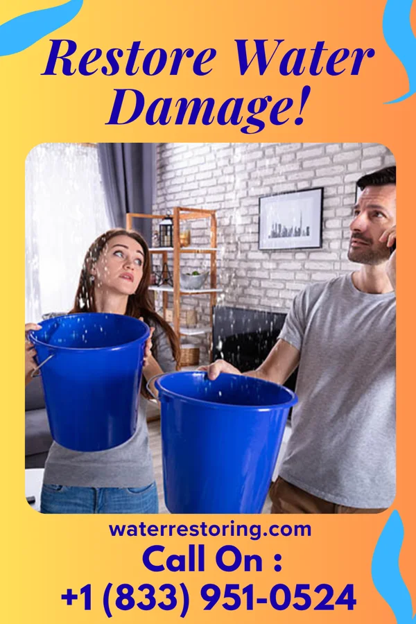 water restoration Frontier Emergency Restoration Experts Leisuretowne