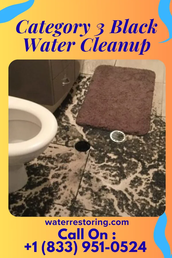 Category 3 Black Water Cleanup in Leisuretowne, NJ