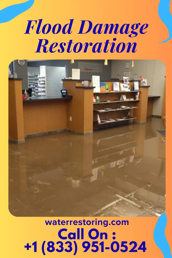 Flood Damage Restoration in Leisuretowne, NJ