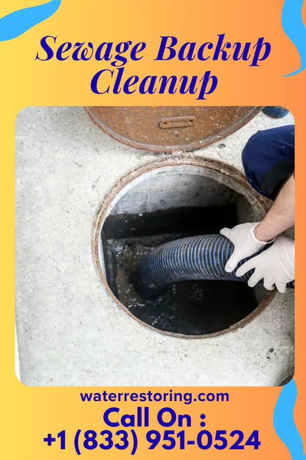 Sewage Backup Cleanup in Leisuretowne, NJ