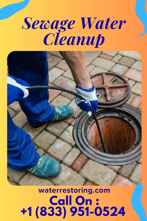 Sewage Water Cleanup in Leisuretowne, NJ